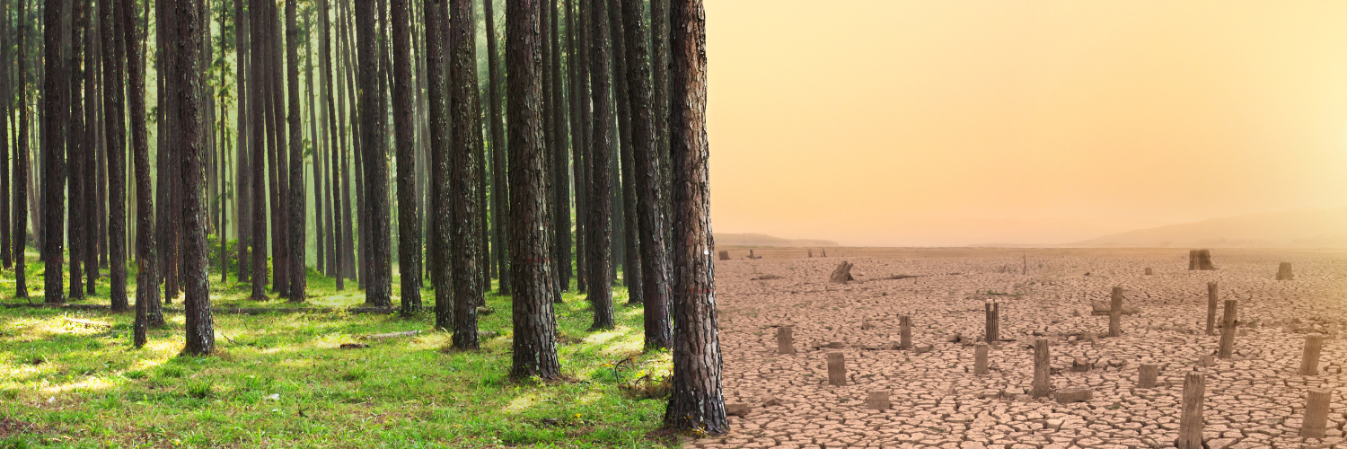 The lament of the land header