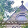 WebSite Heading Posts (5)
